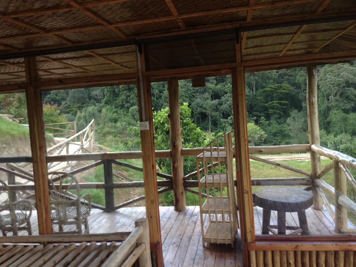 Rushaga Gorilla Lodge Bugambira Quarto foto